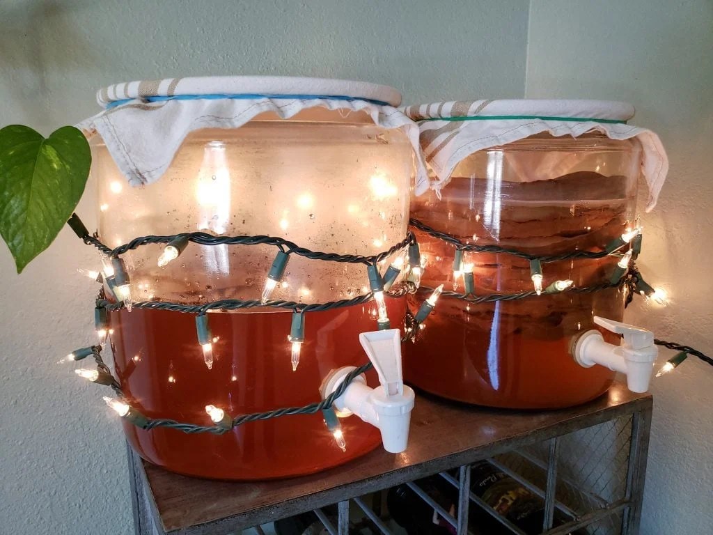 Two 2-gallon glass beverages dispensers, full of reddish colored kombucha, wrapped in white christmas lights.