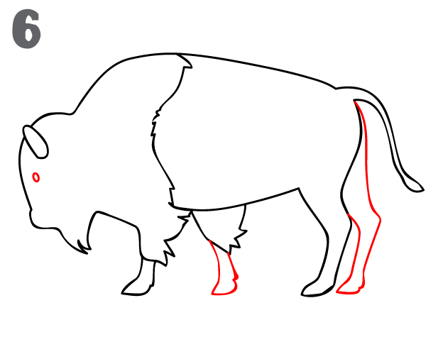 Buffalo