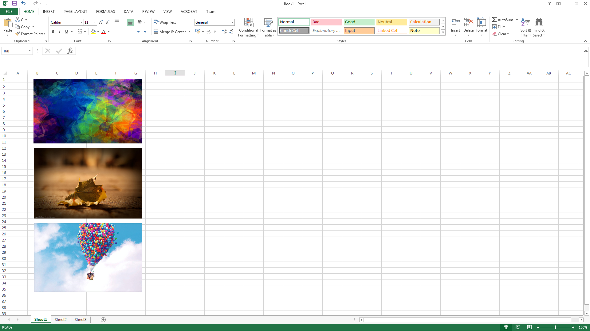 Export Images From A Directory To Excel Using EPplus The