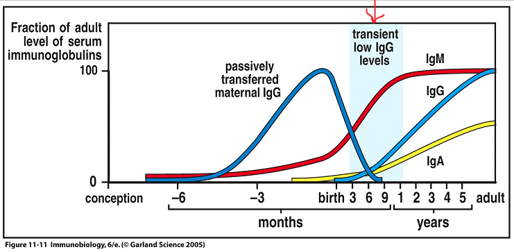 If mother's milk contains antibodies that pass to her infant during breastfeeding, does that