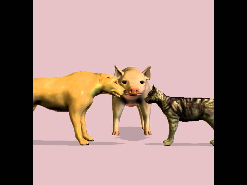 PAYABANGAN NG ASO PUSA AT BABOY (HANDAAN) YouTube