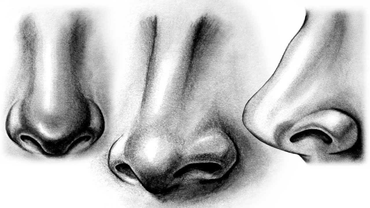 How to draw a Realistic Nose YouTube