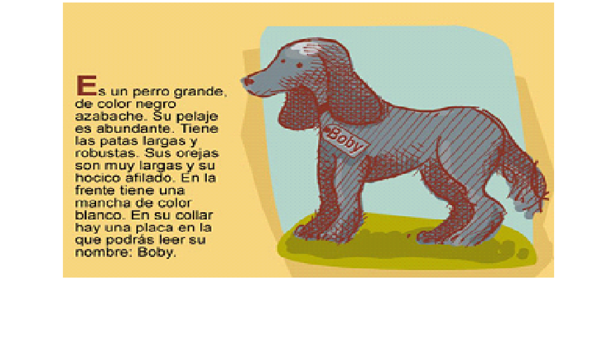 Ejemplos de textos descriptivos