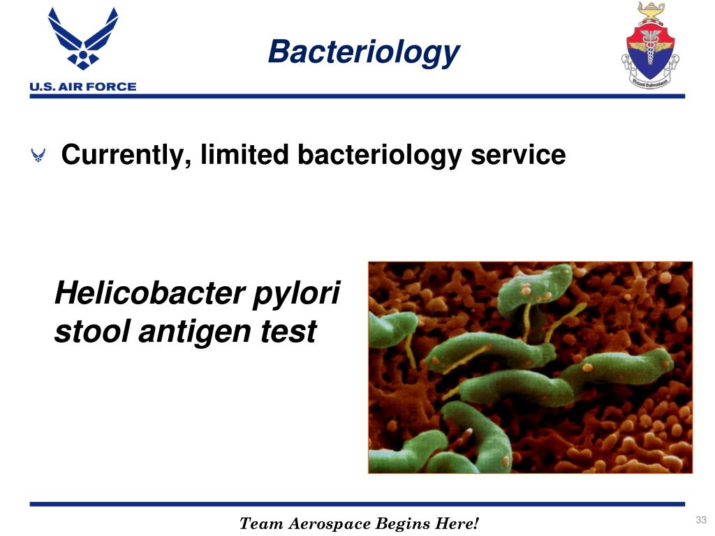 PPT USAFSAM Epidemiology Laboratory Service PowerPoint Presentation ID307709