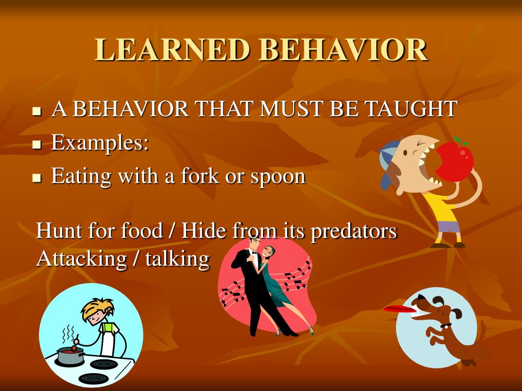 PPT SCIENCE VOCABULARY PowerPoint Presentation ID359441