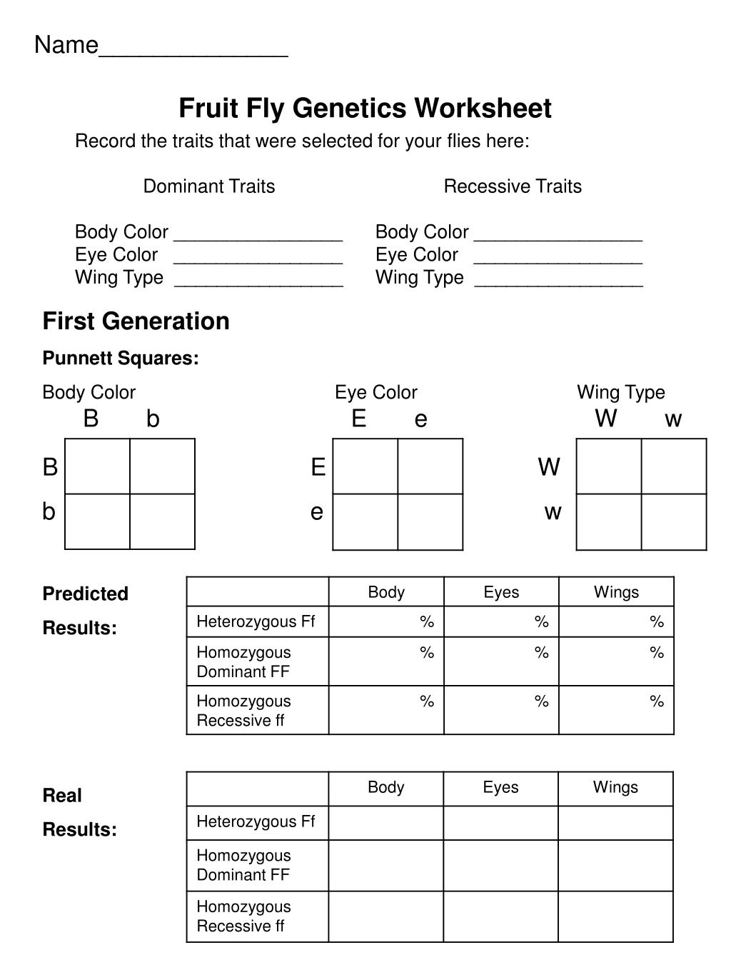 PPT Name______________ Fruit Fly Worksheet