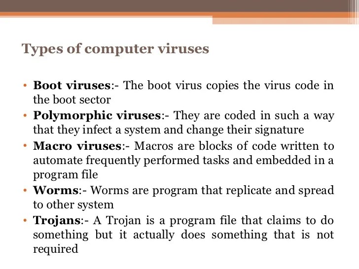 Presentation on computer viruses