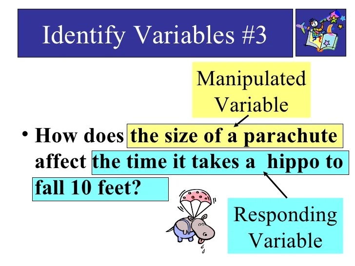 Basic variables ppt