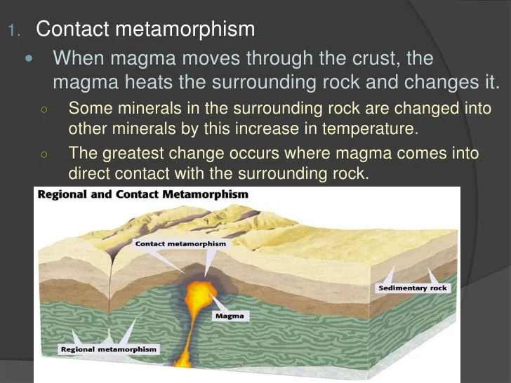 Earth Science 2.4 Metamorphic Rock