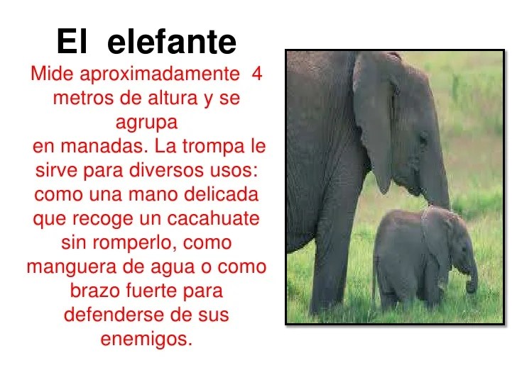 Texto informativo para niños del agua Imagui