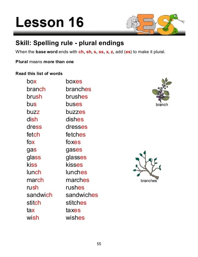 Words ending with x
