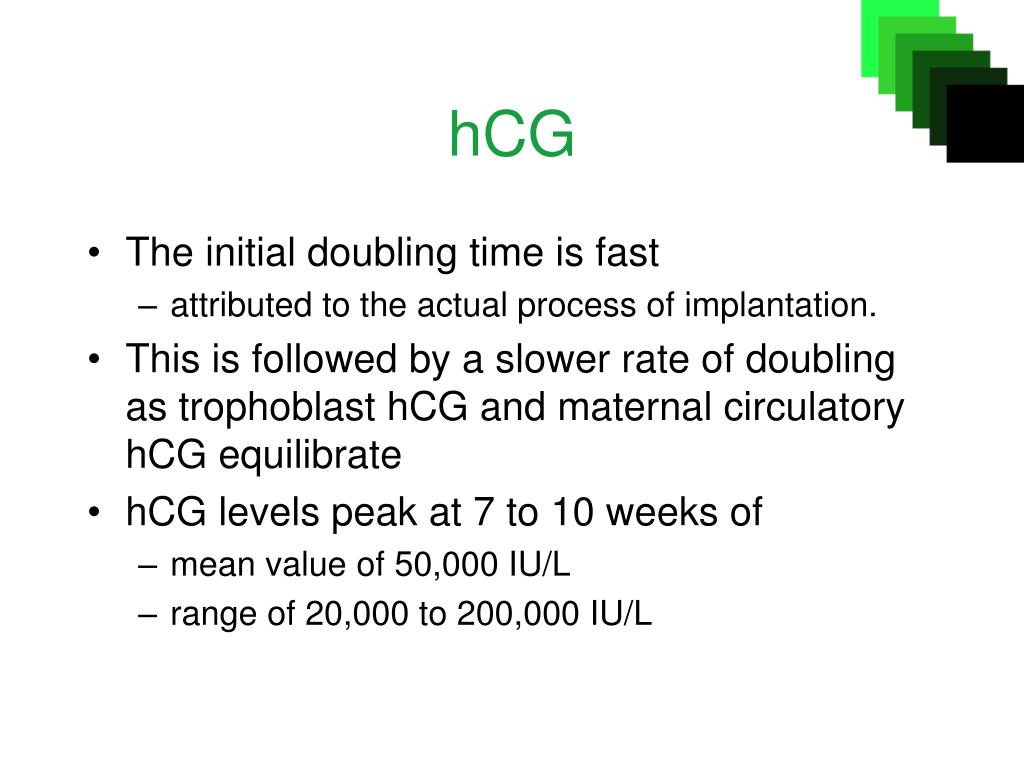Slow Rising Hcg Levels