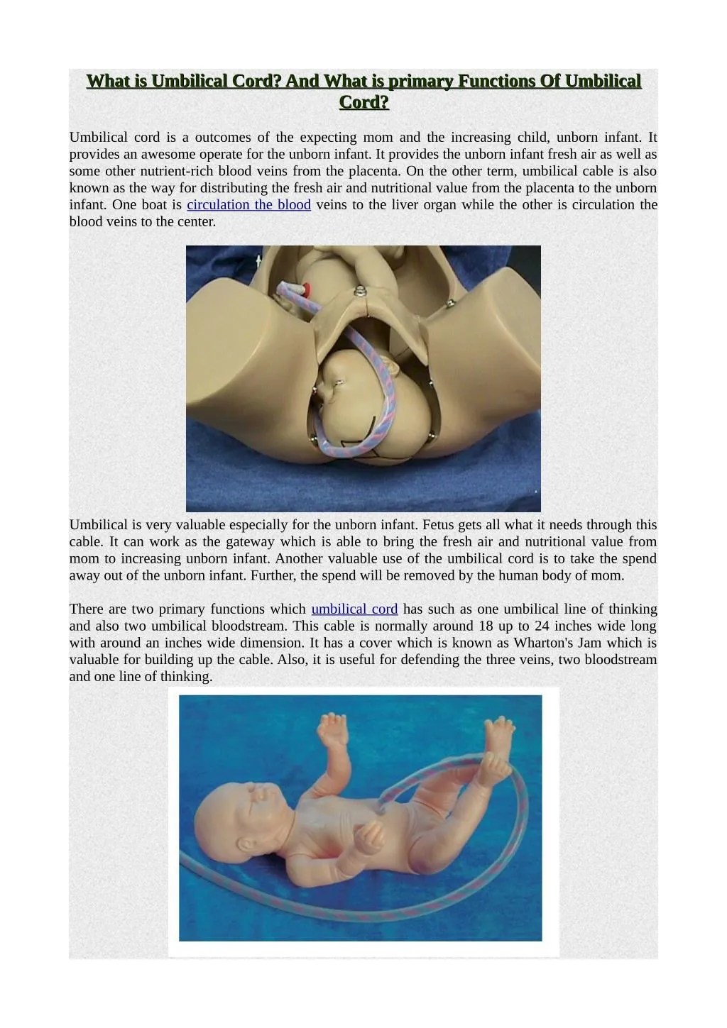 PPT What is Umbilical Cord? And What is primary