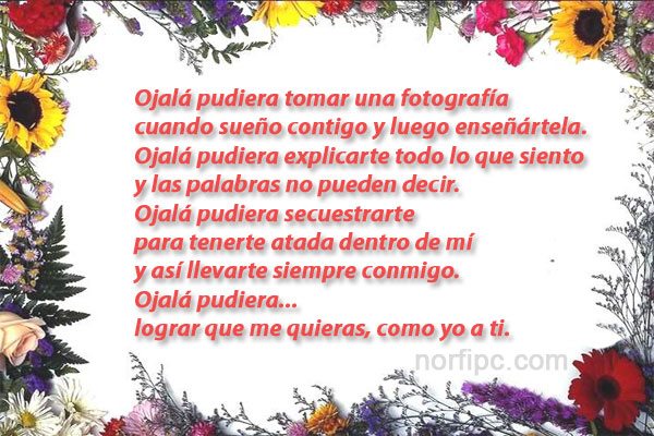 Frases para enamorar a un hombre que me gusta Imagenes de San Valentin