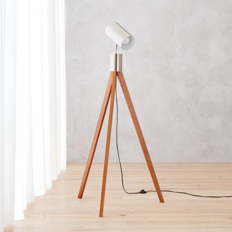 astronomy floor lamp CB2