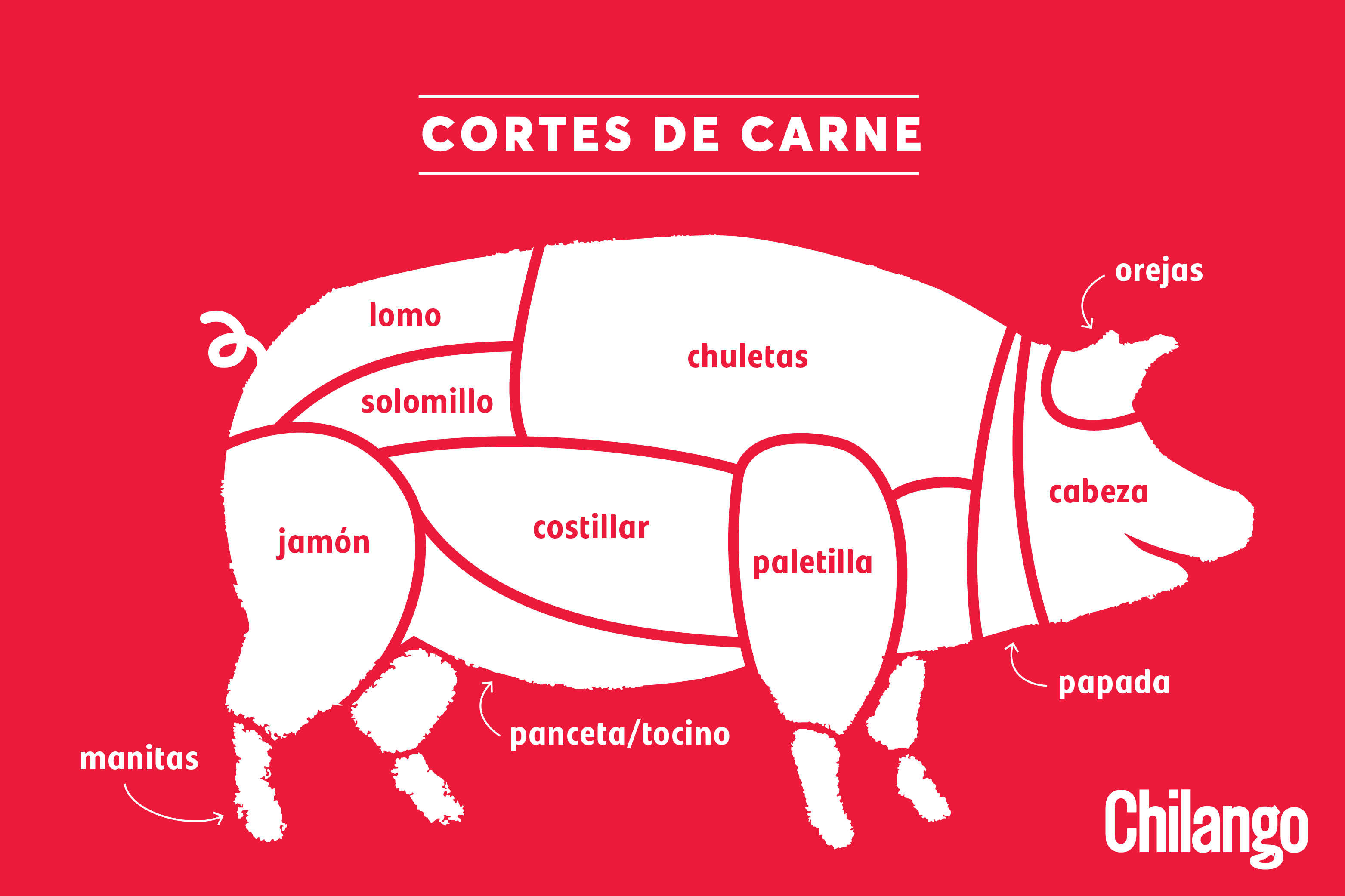 Partes de un cerdo su despiece desde la nariz hasta la cola