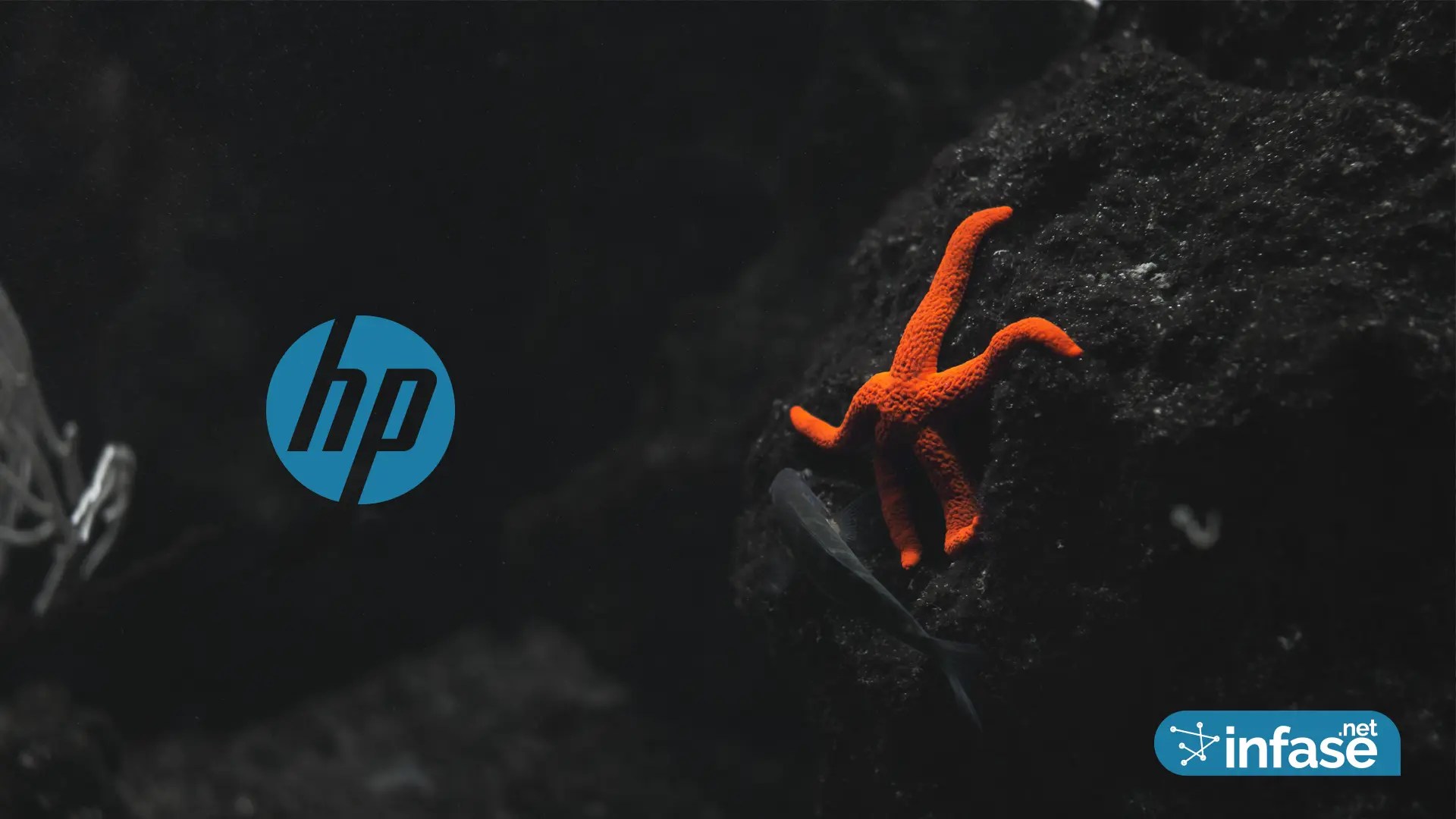Fondo de pantalla Hp INFASE