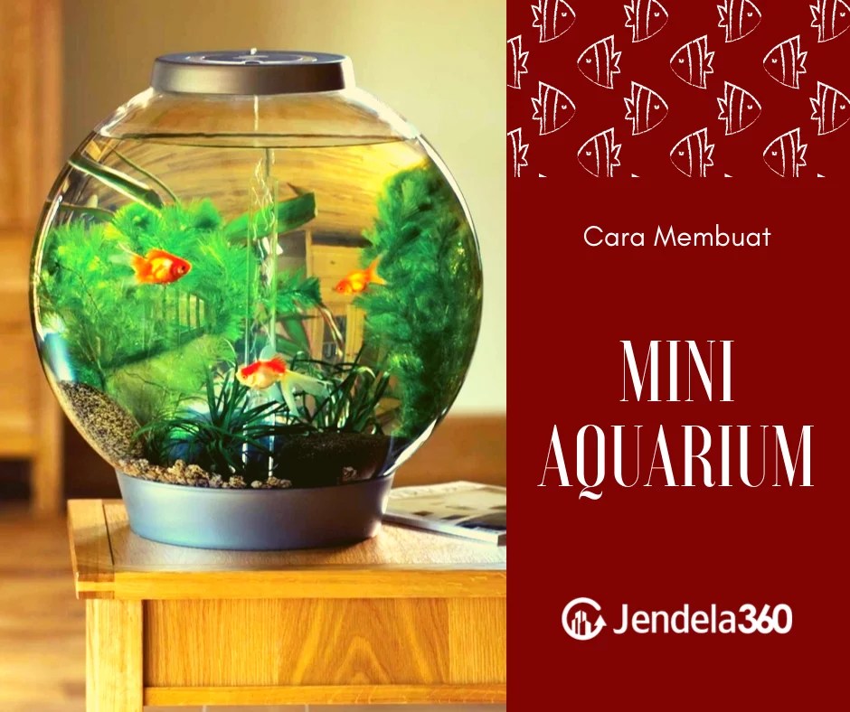 Atau ingin tahu cara membuat aquarium unik buatan sendiri dari botol sederhana? 6 Cara Membuat Aquarium Mini, Siapapun Bisa