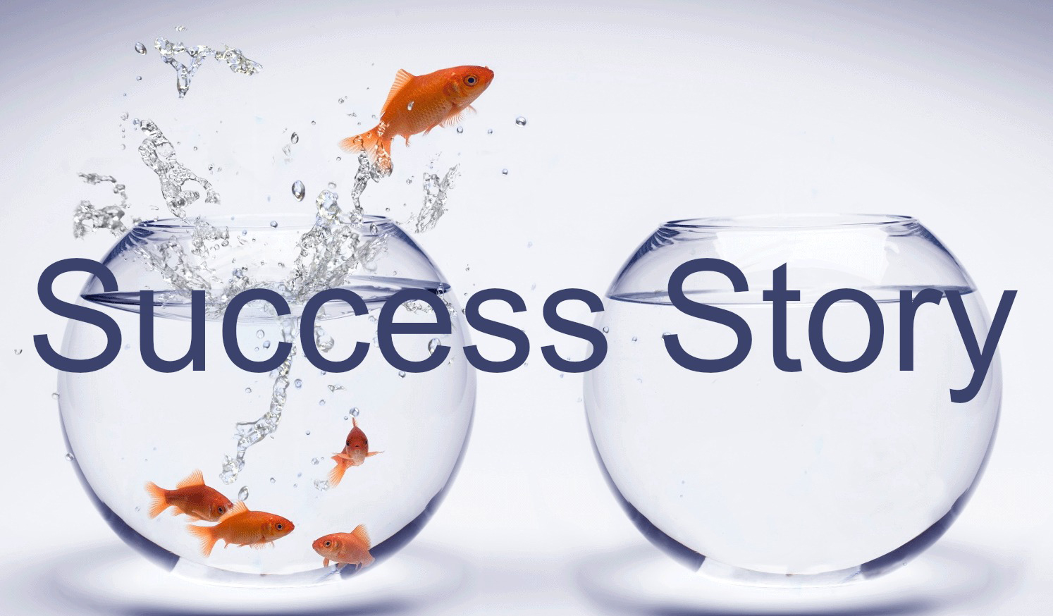 The success story of Praveen Dwivedi Job Mentor