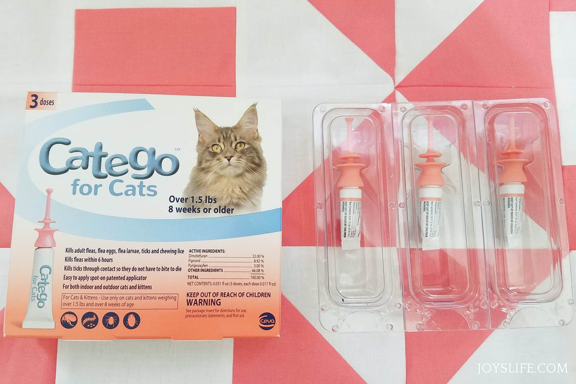 Quick Tips for a Happy, Calm & Healthy Cat