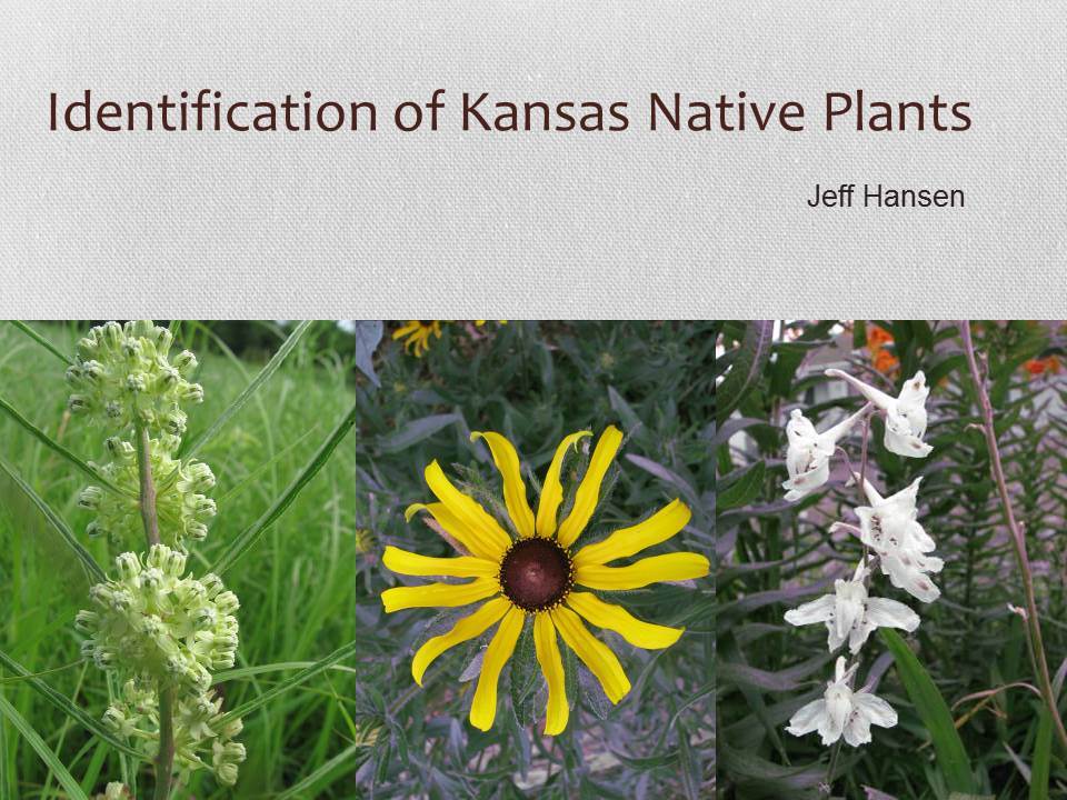 Presentation Kansas Native Plants
