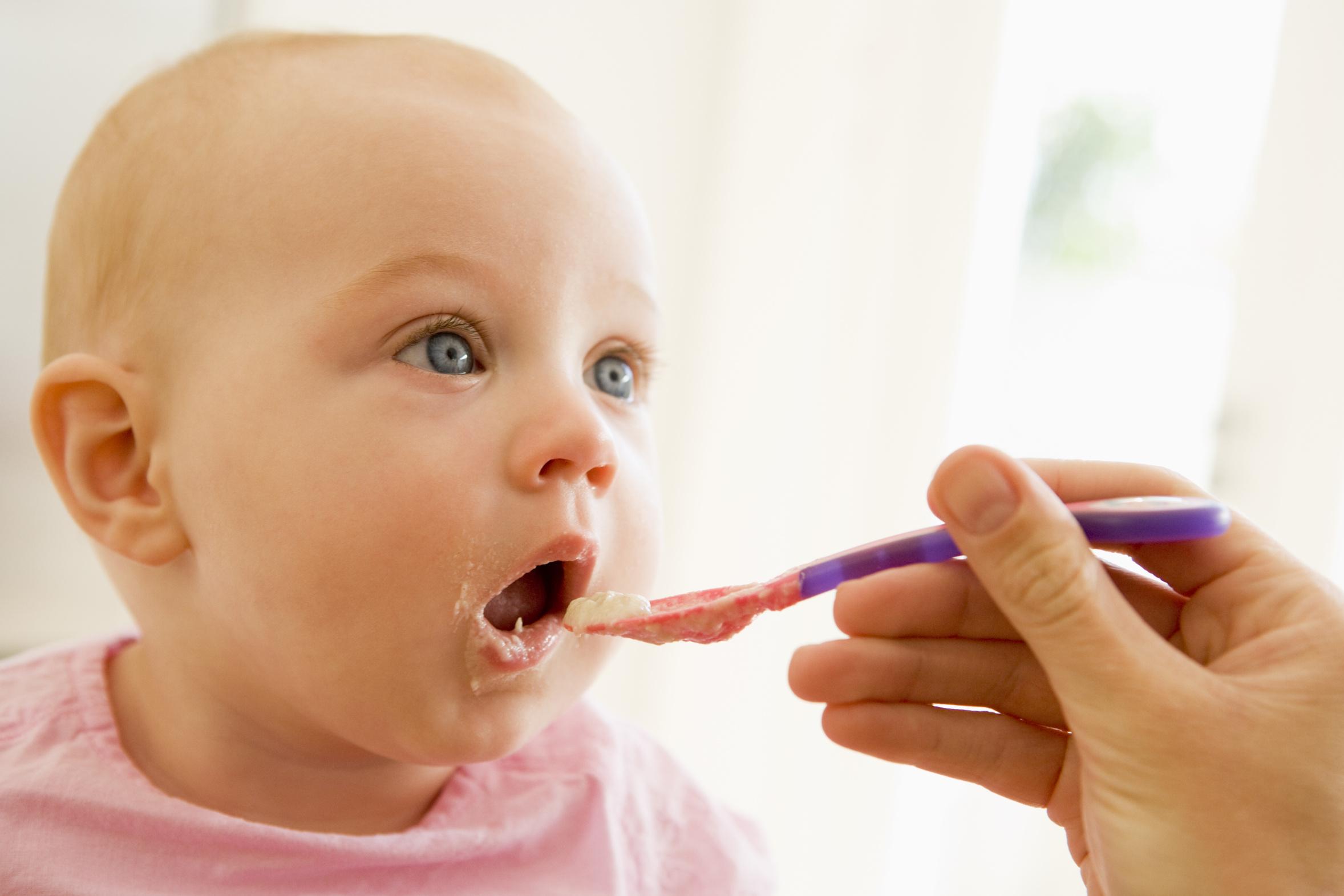 All About What, How & When to Feed Your Baby Solids