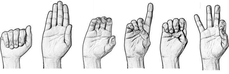 Sign Language