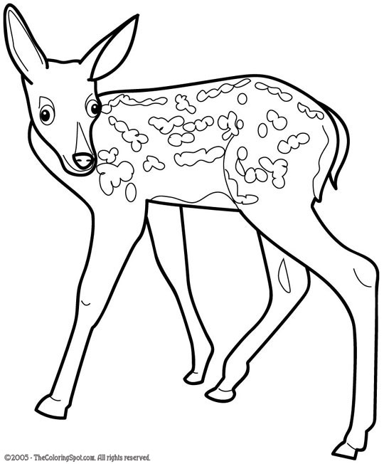 Fawn Audio Stories for Kids & Free Coloring Pages from Light Up Your Brain
