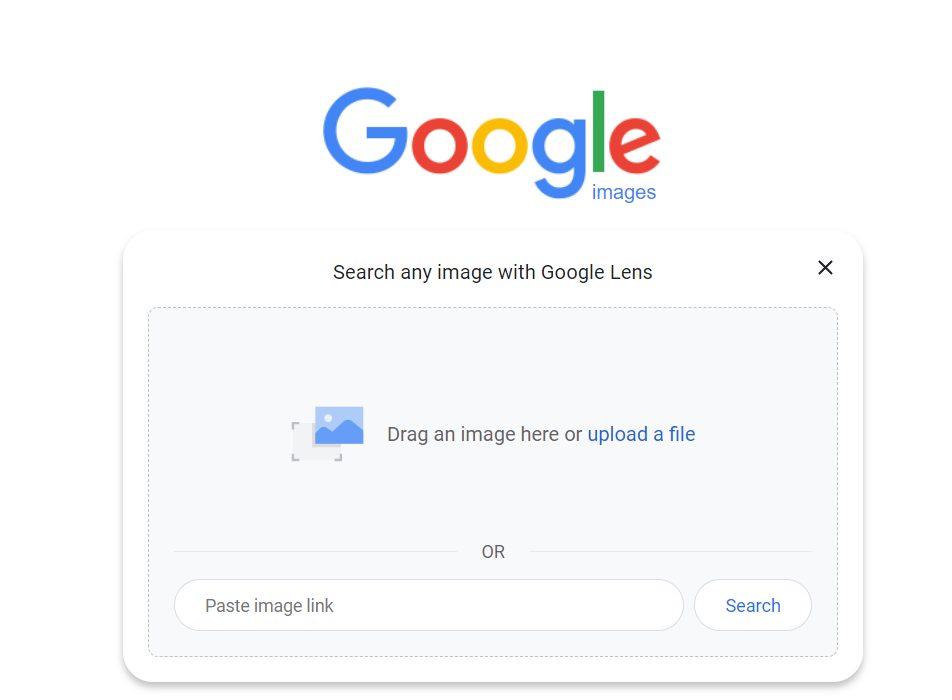 Using a Reverse Google Image Search on Your Family Photos Are You My