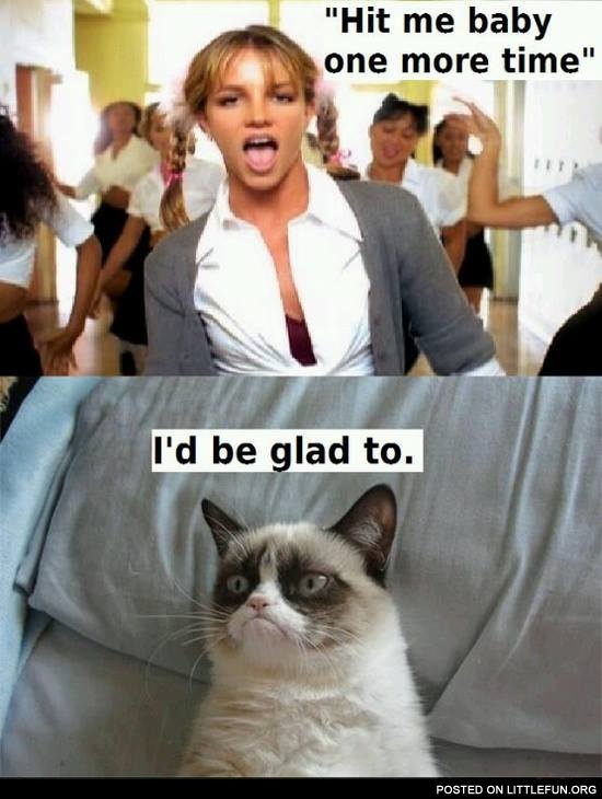 LittleFun Grumpy cat, hit me baby one more time