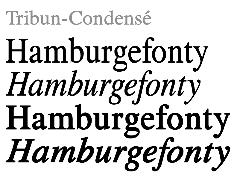 TIMES NEW ROMAN HOLLOW FONT FREE DOWNLOAD Wroc?awski