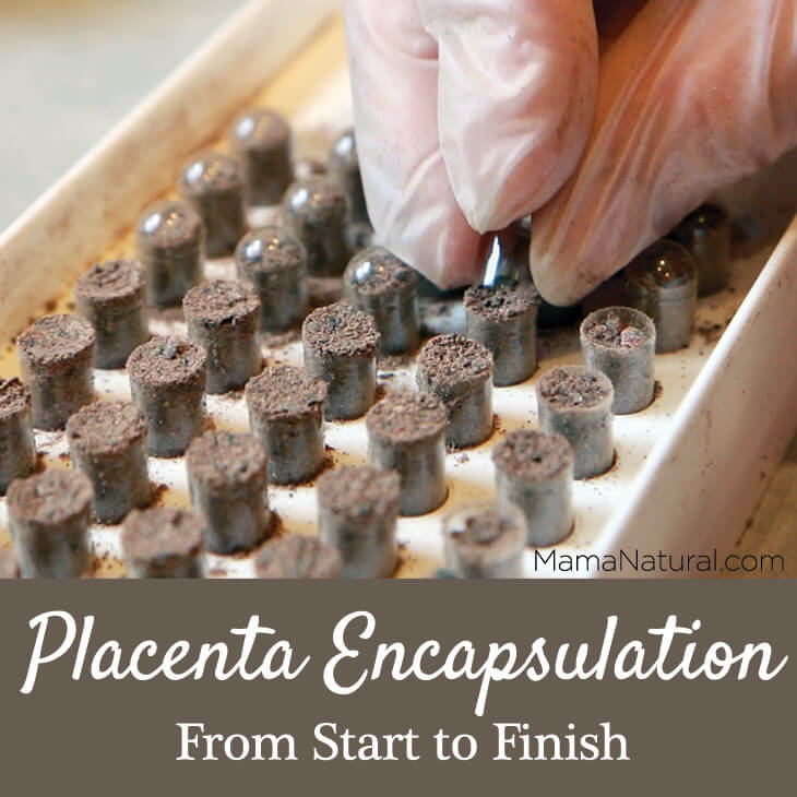 Placenta Encapsulation from Start to Finish (Video)
