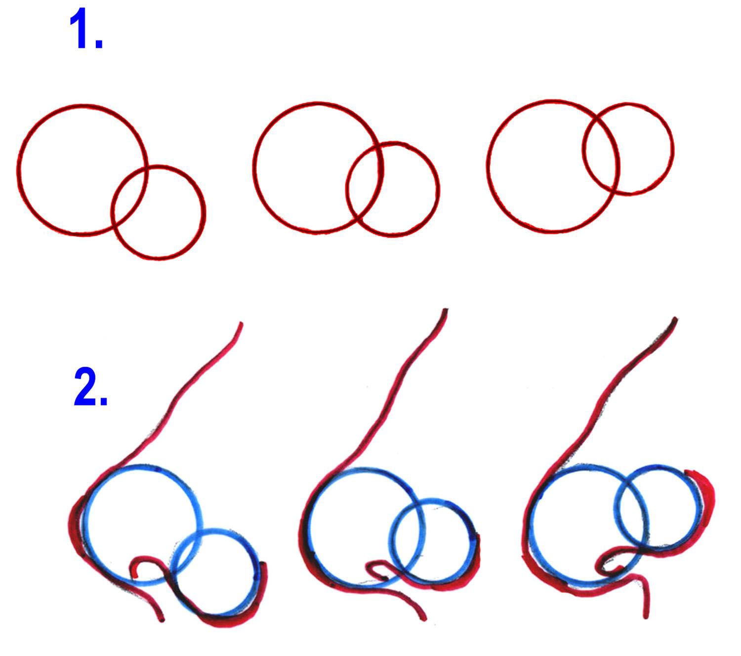 как нарисовать курносый нос