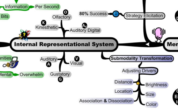 Internal Representational Systems (mx) MasterMind Matrix