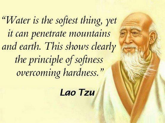 Lao Tsu on "softness" Philosophy & Inspiration Pinterest