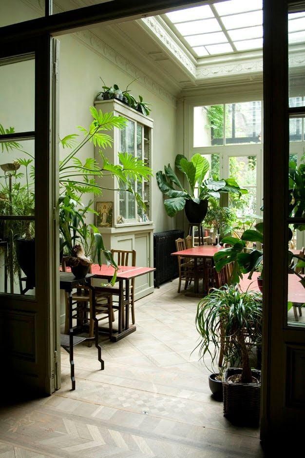plant room Indoor Gardening Pinterest