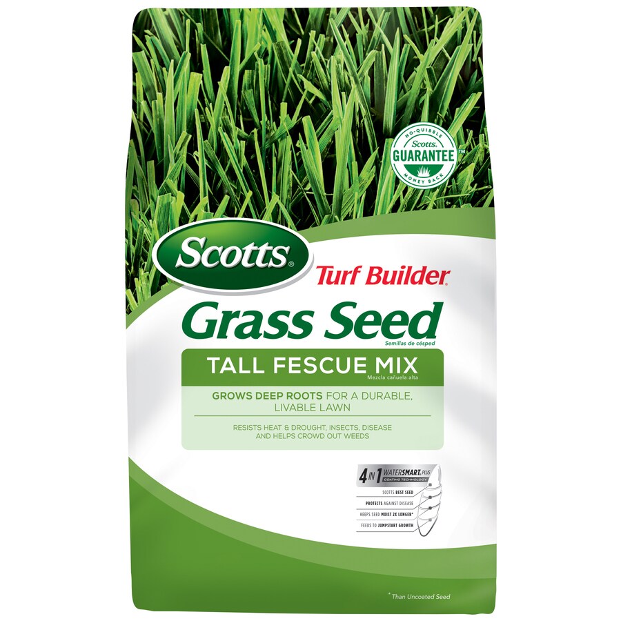 Scotts 3 Lb Tall Fescue Grass Seed In The Department At Lowes Com