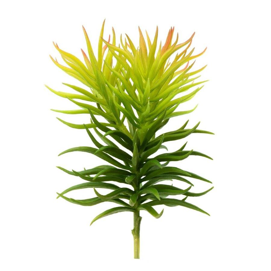 Vickerman Vickerman 8in Artificial Green Crassula