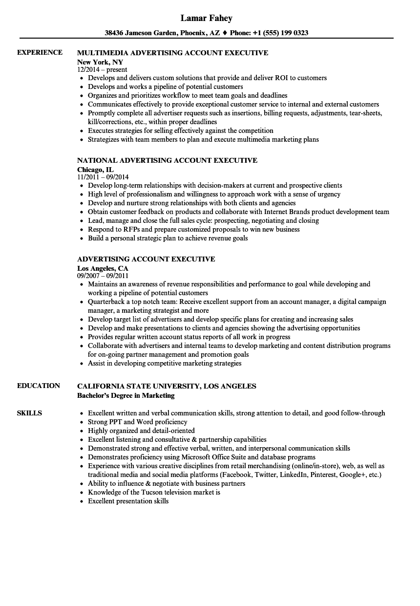 Accounting Executive Resume Template Mt Home Arts