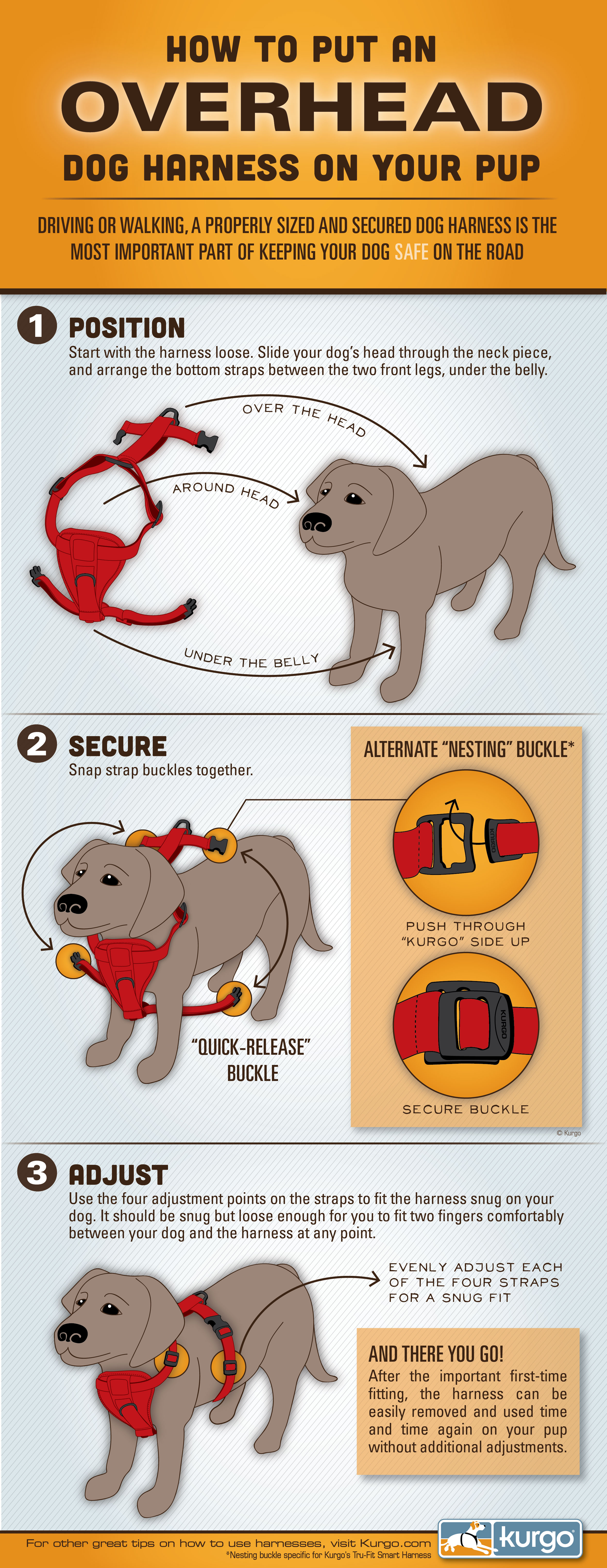 How To Properly Put On A Dog Harness
