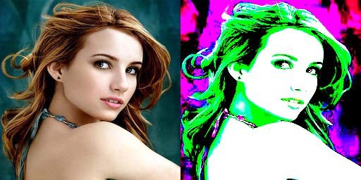 玩转pytorch中的torchvision.transforms SnailTyan