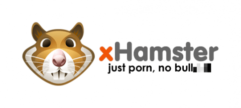 World's Second Most Popular Porn Website Infecting Viewers - Guido Fawkes