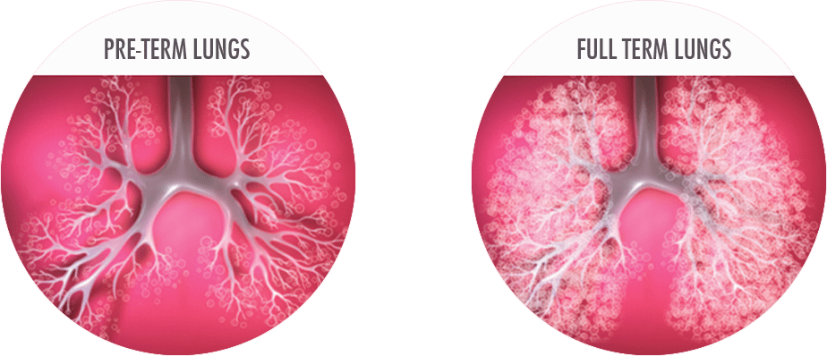 OSPICON The SleepMat