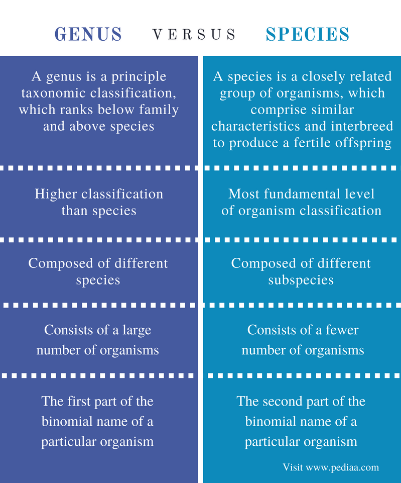 Difference Between Genus and Species Definition
