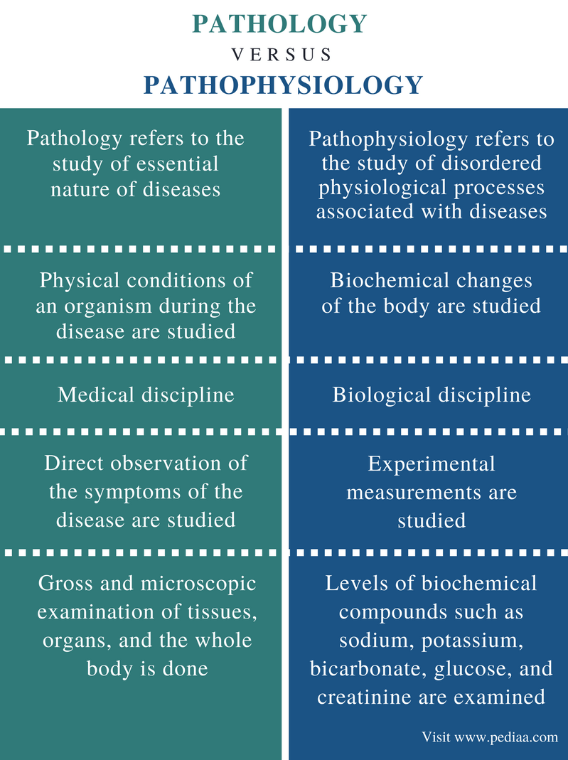 Difference Between Pathology and Pathophysiology