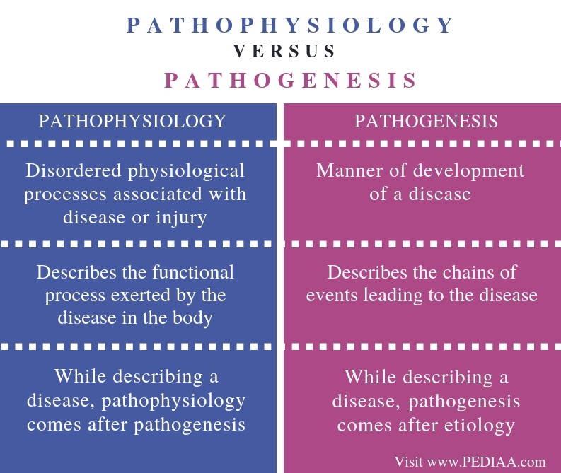 What is the Difference Between Pathophysiology and