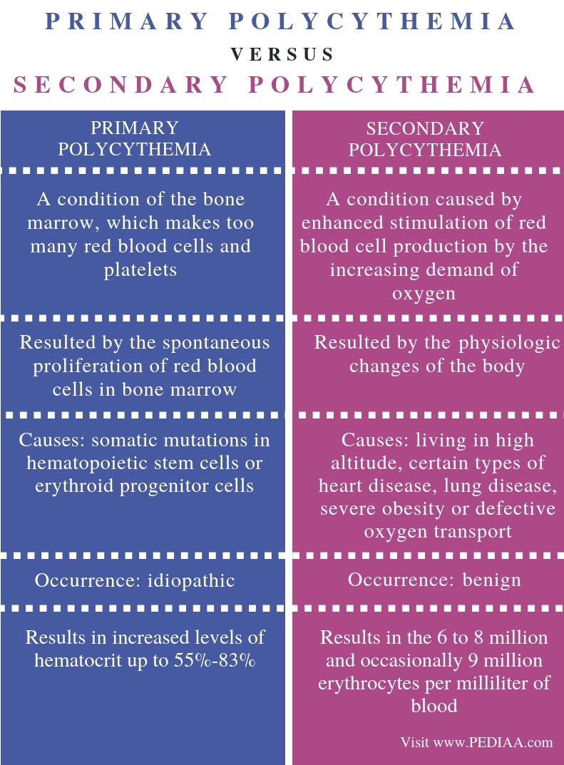What is the Difference Between Primary and Secondary