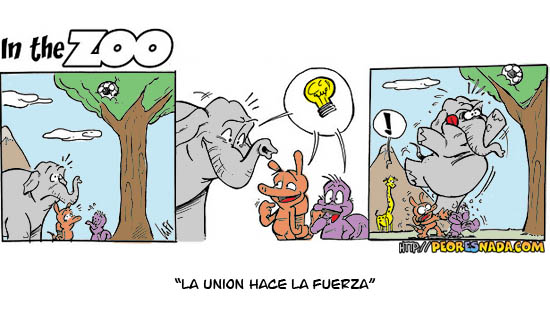 viñetas 2 humor graficoanimales Taringa!