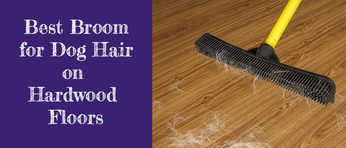 Best Broom For Dog Hair On Hardwood Floors Pet Hair HQ