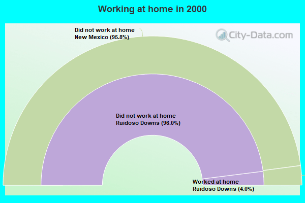 Work and Jobs in Ruidoso Downs, New Mexico (NM) Detailed